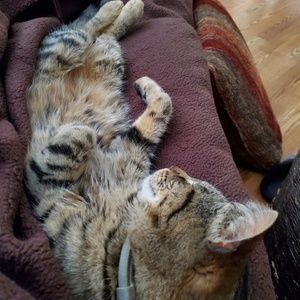 Meet your Posher, Lisa